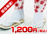 �y���B���{�ꔒ���܁z�N���T�C�Y 15cm�`20cm