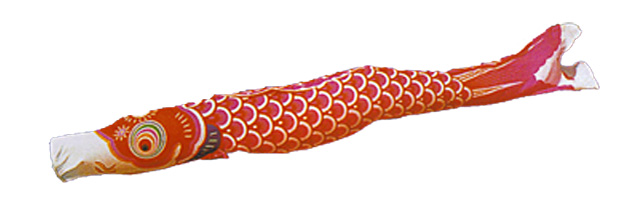 鯉のぼり 【送料無料】 こいのぼり【タフタ金太郎鯉】5m/7点セット 庭園用鯉のぼり