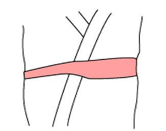 角帯(男帯)のしめかた画像01