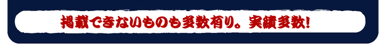 掲載できないものも多数有り。実績多数！