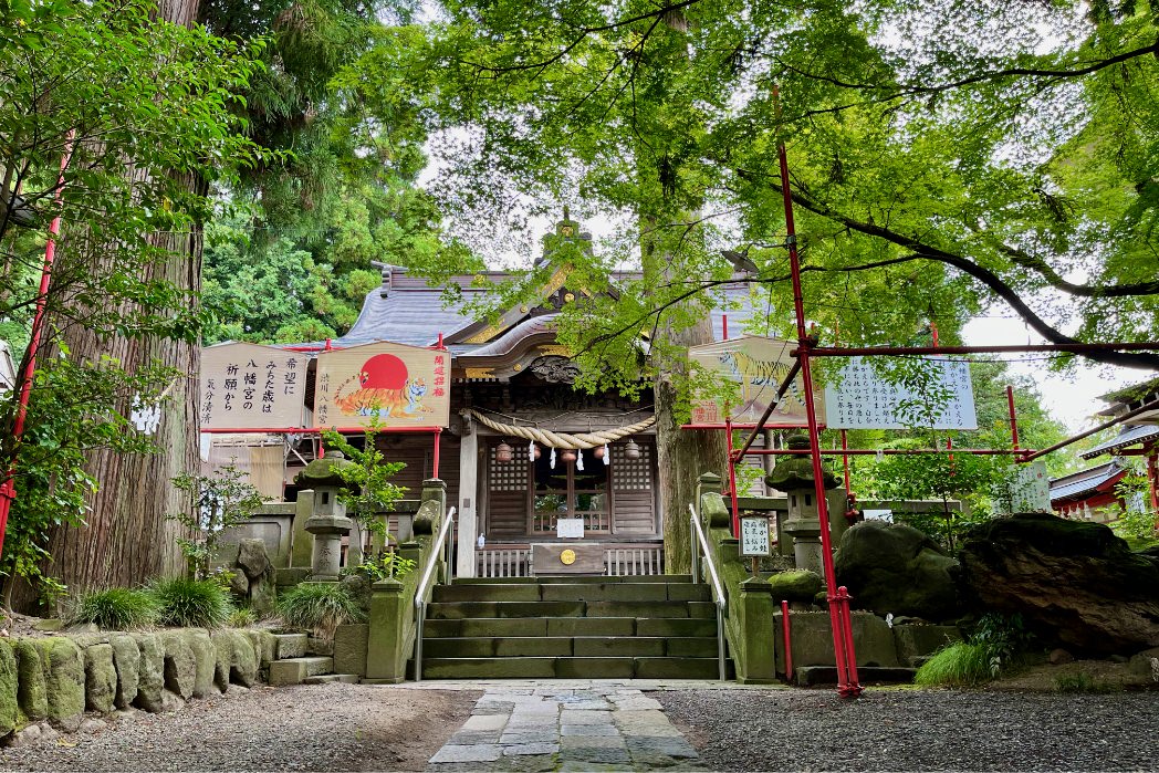 渋川山車まつり